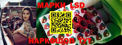 крисы Коммунар
