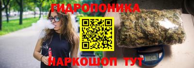 крисы Коммунар