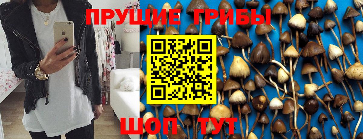 Биробиджан  купить наркотики сайты  Вход с VPN  Галлюциногенные грибы ЛСД 